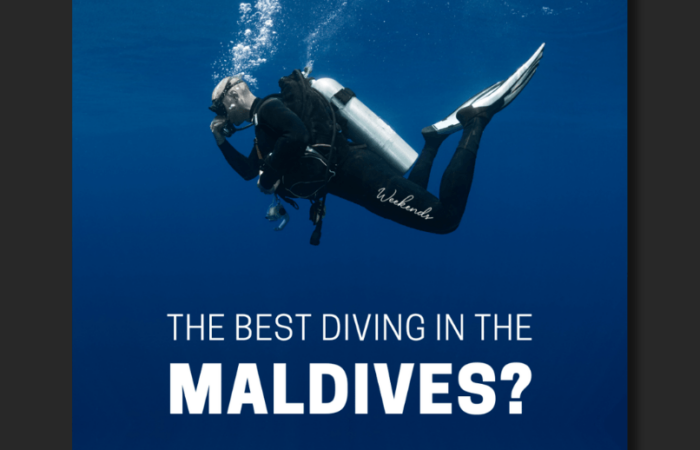 Maldives Travel Agency Platform Ad