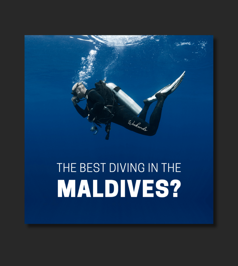 Maldives Travel Agency Platform Ad